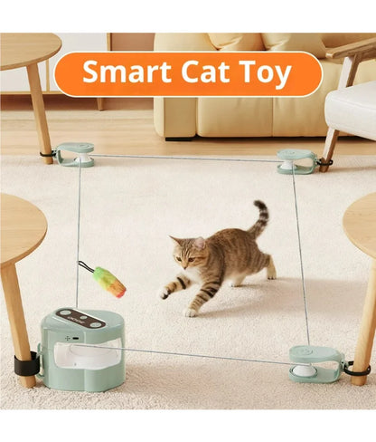 cat toy