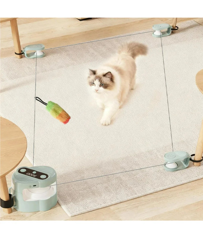 cat toy