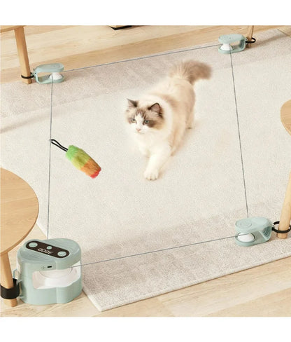 cat toy